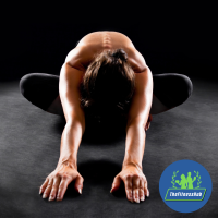 Treinamento para Mobilidade e Flexibilidade