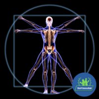 Ativação do Corpo Humano
